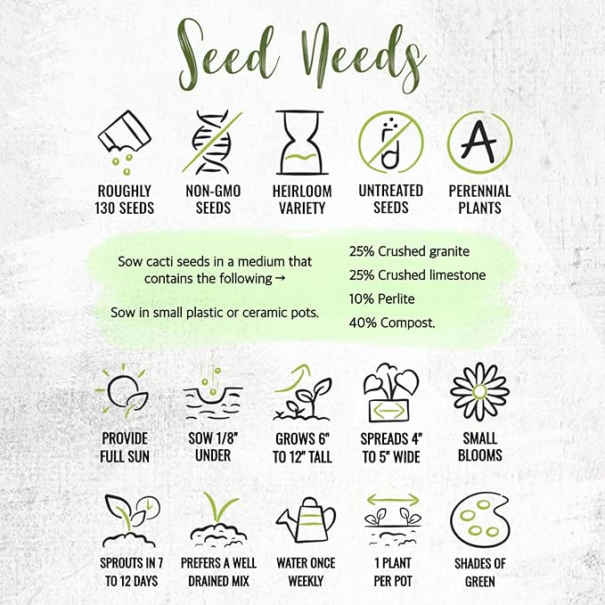 Seed Needs, Mixed Cacti/Cactus Seeds - 130 Seeds for Planting - Great Plants for Indoor Office Spaces, Easy to Grow (1 Pack)