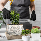 9.8 Inch Large Vintage Ceramic Planter Ice Crack Glaze Gray Floral Flower Pot with Drainage Holes Rustic Country Plant Pots Decorative Gifts for Home Kitchen Office Indoor Outdoor Plants