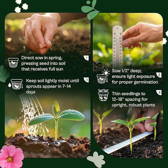 SVI 3000 Mix Crazy for Cosmos Seeds (Cosmos bipinnatus) – Cosmo Mix Wildflower Seed Packets – Easy Grow Annual, Bulk Flower Seeds for Outside Flower Garden, Containers, Flowers Beds