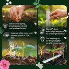 SVI 3000 Mix Crazy for Cosmos Seeds (Cosmos bipinnatus) – Cosmo Mix Wildflower Seed Packets – Easy Grow Annual, Bulk Flower Seeds for Outside Flower Garden, Containers, Flowers Beds