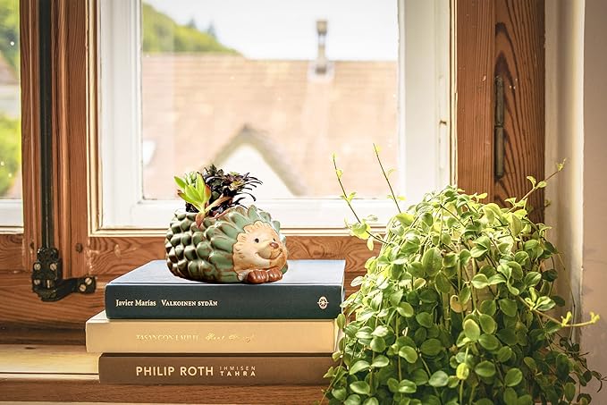 DIYOMR Small Ceramic Planter Pot, 4.3" Vintage Bronze Animal Planters Ceramic Flowerpot Succulent Pots Cactus Pot for Office Home Desktop Decor - Plants Not Included (Hedgehog Pot)