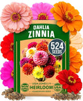 HOME GROWN Zinnia Dahlia Seeds Pack for 2026 Non GMO 524 Flower Seeds | Vibrant Zinnia Elegans for Pollinator Gardens, Borders & Containers | Easy-to-Grow Outdoor Blooms