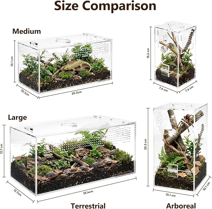 Jumping Spider Enclosure Set, Terrestrial Arboreal Combo, Acrylic Tarantula Terrarium, Praying Mantis Habitat, No Assembly, 2-Size Kit, Medium