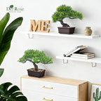 Der Rose 2Pcs Small Fake Plants Artificial Bonsai Tree Set Ficus and Cedar for Office Desk Shelf Room Home Zen Decor Indoor