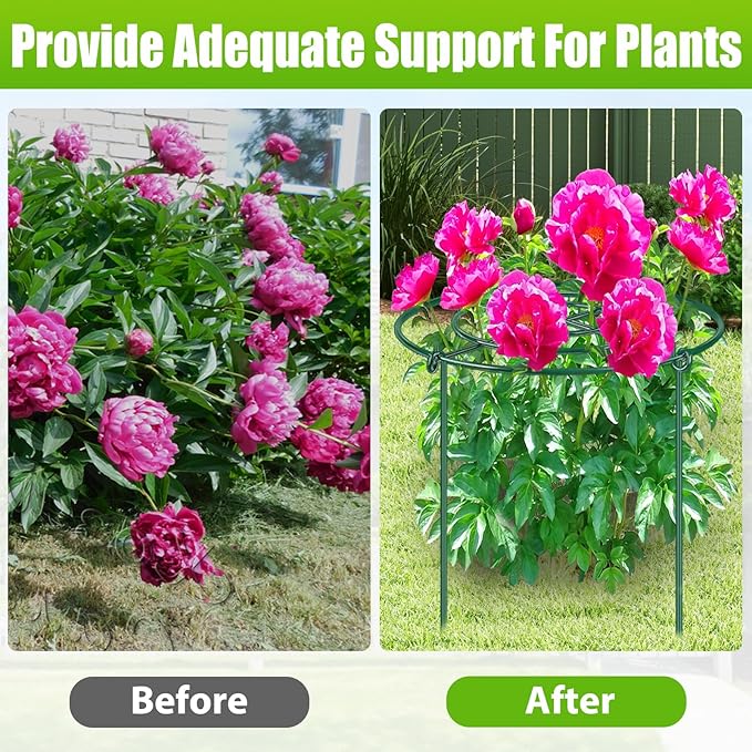 4 Pack Peony Cages and Supports, 11.5" Dx16 H Plant Supports for Outdoor Plants, Heavy Duty Metal Peony Support Cage Flower Support Rings, Plant Support Ring for Rose Tomato Hydrangea Strawberry