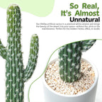Artificial Cactus Small Fake Succulents Ceramic Plant for Home, Office, Kitchen, Living Room, Desk, Shelf, and Indoor Dec-2packs
