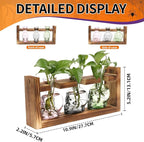 Plant Terrarium Propagation Stations Hydroponics Halloween Skull Planter Vase Skulls Decor with Wooden Stand Gife for Father