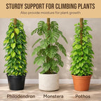 Craft911 Moss Pole Monstera Plant Support – 64” Bendable Moss Pole Monstera Plant Support, Plant Stakes for Indoor Plants, Tall Plant Sticks Support for Climbing Plants
