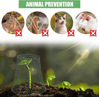 10 Pieces Chicken Wire Plant Covers Wire Garden Cloches Chicken Wire Cloche Plant Protector Metal Heavy Duty Garden Plant Cloche for Keeping Bunnies Chicken Squirrels Birds Other Out(9×9in) (Green)