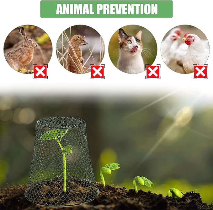10 Pieces Chicken Wire Plant Covers Wire Garden Cloches Chicken Wire Cloche Plant Protector Metal Heavy Duty Garden Plant Cloche for Keeping Bunnies Chicken Squirrels Birds Other Out(9×9in) (Green)