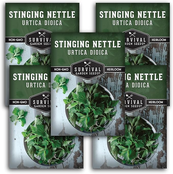 Stinging Nettle Seeds for Planting - Urtica Dioica Medicinal Herb & Edible Perennial - Common Nettle for Tea, Cooking & Wellness - Heirloom Non-GMO - Survival Garden Seeds (5 Packs)
