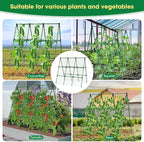 51" x 53" Cucumber Trellis for Raised Bed, A-Frame Garden Trellis for Climbing Plants Outdoor, Rust-Proof Metal Support for Tomato, Peas, Beans, Zucchini & Vines, with Netting & Clips