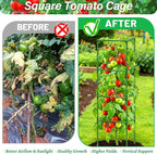4 Pack Square Tomato Cages for Garden, 60 Inch Adjustable Tomato Stakes, Metal Tomato Trellis, Garden Plant Support for Potted Climbing Plants, Vegetables Flowers Fruits, Raised Garden Bed