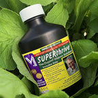 SUPERthrive Original Plant Vitamin Solution with Kelp for All Plants, 4 oz. Plus Perennials to Plant in Fall Seeds