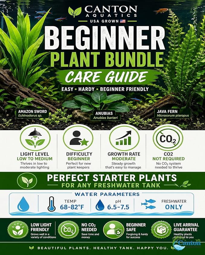 Assorted Mixed Plant Bundle - Live Aquarium Plant - Freshwater - Low | Medium | High Light