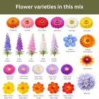 Cut Flower Garden Seed Mix – 15,000+ Seeds – 1 oz Extra Large Packet – Non-GMO Flower Seeds – Zinnia, Cosmos, Larkspur, Calendula, Bishop’s Flower & More for Bouquets & Cutting Gardens
