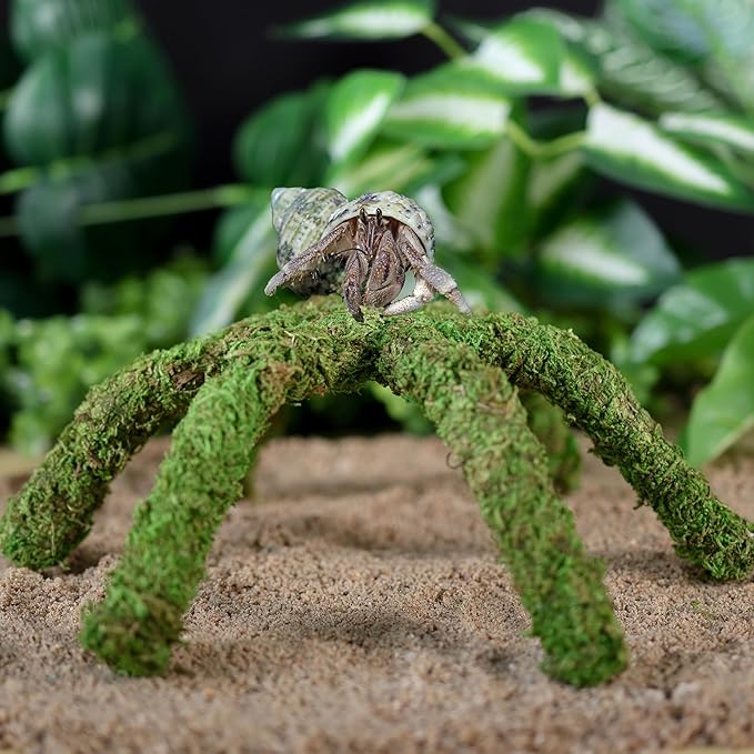 USMOLA 12 Inch Hermit Crab Climbing Toys for Tank, Fake Moss Hermit Crab Habitat Tank Accessories, Pet Snail Climbing Toys, Ideal Snail Terrarium Accessories (Natural Green, 12 Inch)