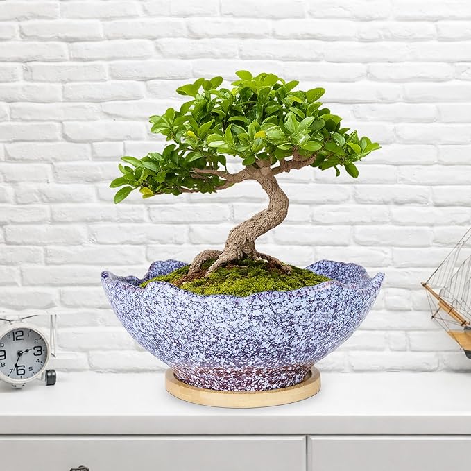 ARTKETTY Bonsai Pots - 9.06'' Ceramic Pots for Indoor Plants, Large Succulent Pots with Drainage Bamboo Tray, Unique Bonsai Tree Planters Round Cactus Flower Plant Container Bowl Home Office Decor