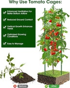 Tomato Cage, 3Pack 51.2inch Tall Tomato Trellis Triangle Tomato Cages for Garden Climbing Plants, Raised Garden Bed Plant Support Stakes for Garden,Pots, Plant Cages & Supports（Extra Bold）