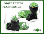 Der Rose 2 Pack Fake Plants Succulent Plants Artificial for Home Bathroom Living Room Office Decor