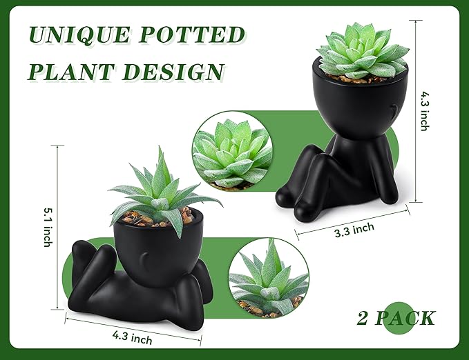 Der Rose 2 Pack Fake Plants Succulent Plants Artificial for Home Bathroom Living Room Office Decor