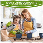 Self-Watering Pots for Indoor Plants with Visible Water Window,5/6/6.5/8/10 Inch Outdoor Flower Pots with Drainage Holes & Reservoir for Patio, Home Decor (Blue)