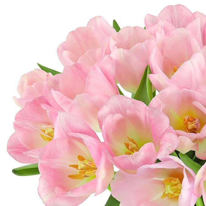 Benchmark Bouquets - Pink Tulips - Fresh Flowers for Delivery - Pink Flowers - Mothers Day Flowers - Mothers Day Gifts for Mom - Fresh Cut Flowers - Glass Vase Included (20 Stems)