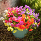 Fanfantoey Artificial Flowers for Outdoor, UV Resistant Fake Plants Outside Decoration, 14 Pcs Realistic Silk Morning Glory Faux Flowers for Porch Patio Gardens Home Decor(14, 6 Mixed)