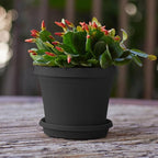 Bloem Terra 6" Diameter Round Black Resin Planter Pot with Drainage Holes for Indoor and Outdoor Gardening