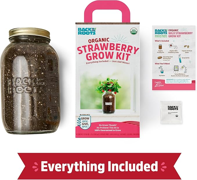 Back to The Roots Organic Strawberry Grow Kit — Grows Year Round, Includes Everything Needed for Planting