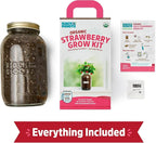 Back to The Roots Organic Strawberry Grow Kit — Grows Year Round, Includes Everything Needed for Planting