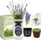Hydroponic Herb Growing Kit, Self-Watering Mason Jar Herb Garden Starter Kit Indoor, Windowsill Herbs Garden, Grow Your Own Herbs from Organic Seeds (Lavender)