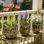 3 Piece Vintage Metal Planter Set, Rustic Distressed Farmhouse Flower Pots with Handles for Indoor Outdoor Garden, Tabletop Centerpieces & Wedding Decor