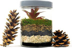 Mosser Lee ML1112 Black Sand Soil Cover, 5 lb.