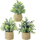 Small Fake Potted Plants: 9 Inches Artificial Plants with Seagrass Handwoven Planters, Indoor Farmhouse Decorations, Eucalyptus Plant for Home Bathroom Office Shelf Tabletop Desk Room Decor