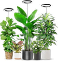 6.3in Grow Light, 80LED Growing Light Full Spectrum for Indoor Plants, Auto Timer 6/12/16H, 3 Optional Spectrums, Height Adjustable 10"-65", Idea for Large Plant, 5V, Black, 3 Pack