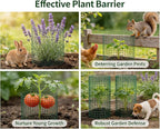 3Pack 17x14 Inch Galvanized Wire Plant Protectors -9Pcs Mesh Cages with Stakes & Zip Ties, Chicken Wire Cloches for Rabbits Squirrels, Garden Vegetable Seedling Protection