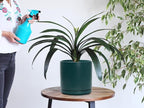 D'vine Dev 8 Inch Ceramic Planter Pot with Drainage Hole and Saucer, Indoor Cylinder Round Planter Pot, Teal, 94-O-D-9