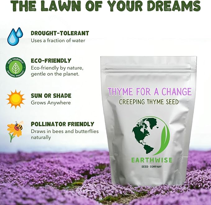Earthwise Thyme for a Change Wild Creeping Thyme Seeds – Fragrant Groundcover, Alternative Lawn, Drought Tolerant, Low Growing, Pet Safe, Organic – Covers Up to 500 sq ft, 1 oz, ~16,000 Seeds