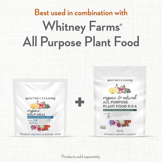 Whitney Farms Organic Kelp Meal 0.7-0.1-2 - Seaweed Fertilizer for Plants, Soil Conditioner for Vegetables, Flowers, Roses and Shrubs, 2 lb.