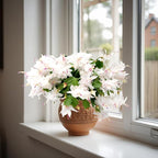 Thanksgiving Cactus, Live Indoor Plant, Flowering Houseplant, Christmas Cactus, Pink White Seasonal Blooms, 6-Inch Pot, Pet Safe Holiday Decor, Free Heat Pack