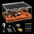 Small Reptile Terrarium Kit,Escape Proof Tarantula Enclosure,PC Starter Hermit Crab Tank,Spider Habitat for Praying Mantis Cage,Frog Vivarium,Insect House,Jumping Spider Cribs,Lizard Container