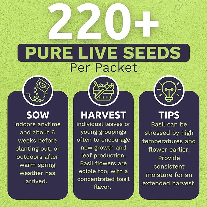 Organic Thai Basil Seeds – Seed Packet of Over 440 Open Pollinated Non-GMO Seeds – Sweet Yards Seed Co.