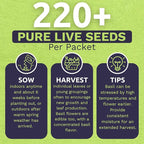 Organic Thai Basil Seeds – Seed Packet of Over 440 Open Pollinated Non-GMO Seeds – Sweet Yards Seed Co.