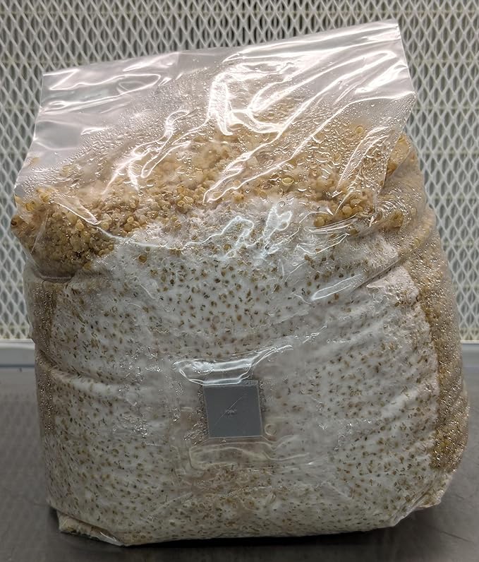 Spawn-Tek Mushroom 3 lbs Millet Grain Bag