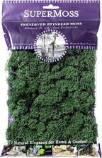 SuperMoss (21703) Reindeer Moss Preserved, Forest Green, 2oz