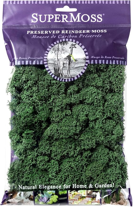 SuperMoss (21703) Reindeer Moss Preserved, Forest Green, 2oz