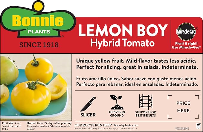 Bonnie Plants Lemon Boy Tomato, Live Plant, 19.3 oz., 4-Pack
