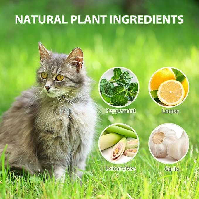 Cat Deterrent Outdoor, 12 Pack Natural Peppermint Oil Cat Deterrent Indoor for Home Against Scratch and Chew Furniture Plants Pet Safe, Keep Stray Feral Cats Out of Yard Garden Lawn