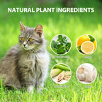 Cat Deterrent Outdoor, 12 Pack Natural Peppermint Oil Cat Deterrent Indoor for Home Against Scratch and Chew Furniture Plants Pet Safe, Keep Stray Feral Cats Out of Yard Garden Lawn